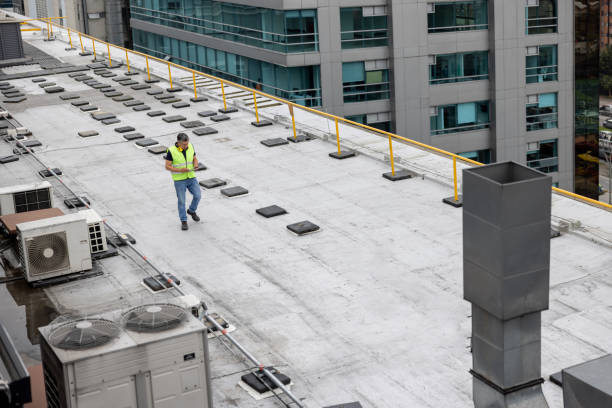 Best Roof Maintenance and Cleaning  in Haslett, MI