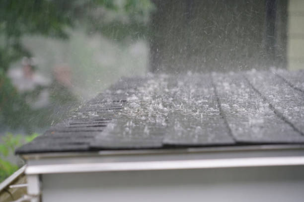 Best Solar Panel Roofing Installation  in Haslett, MI