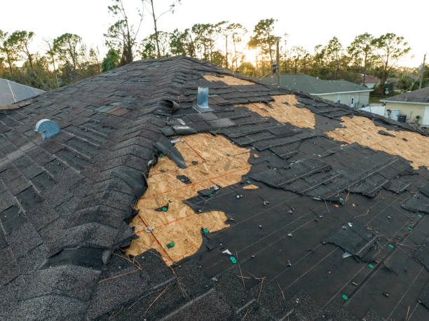 Best Sheet Metal Roofing  in Haslett, MI