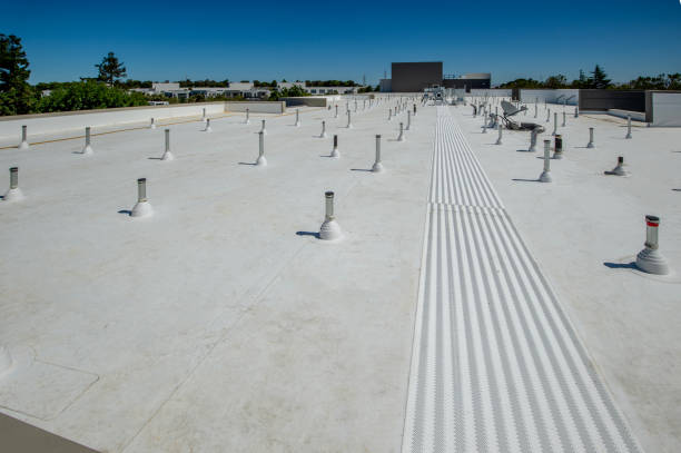 Best Roof Coating Services  in Haslett, MI